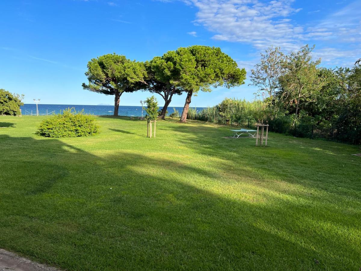 Appartement N 79 Moriani Plage Santa-Lucia-di-Moriani Eksteriør bilde